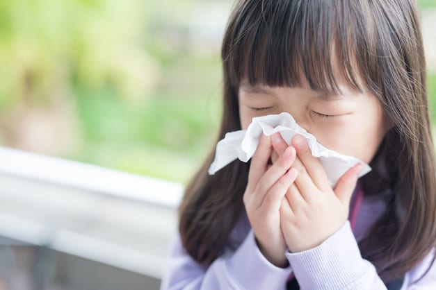 How Indoor Air Quality Can Aid In Flu Recovery