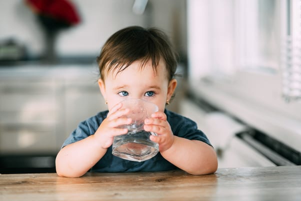 Lead In Drinking Water – Toronto, Halton & Peel Region